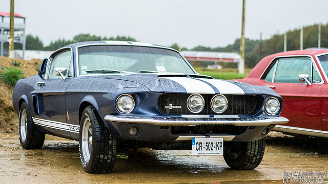 ford mustang shelby gt 500